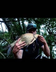 Common Bream