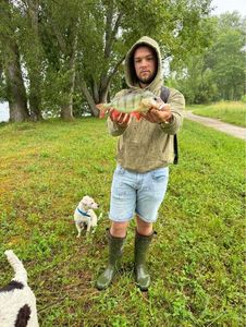 European Perch