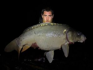 Mirror Carp