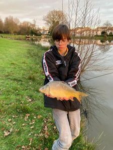 Mirror Carp