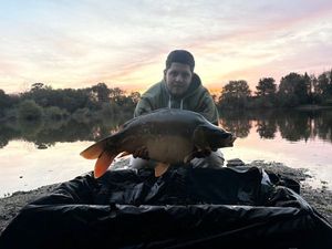 Mirror Carp