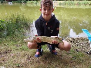 Northern Pike