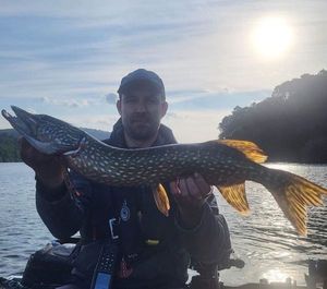 Northern Pike