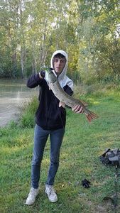 Northern Pike