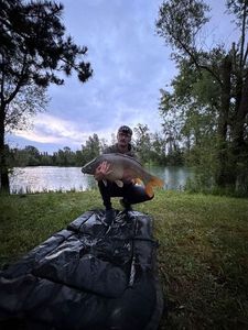 Leather Carp