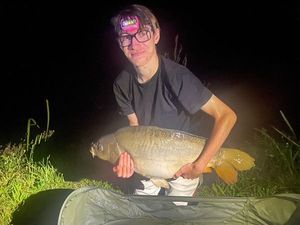 Mirror Carp