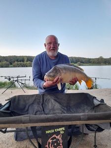 Mirror Carp