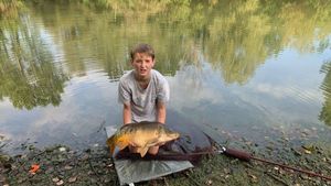 Common Carp