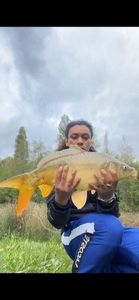 Mirror Carp