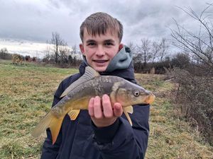 Mirror Carp