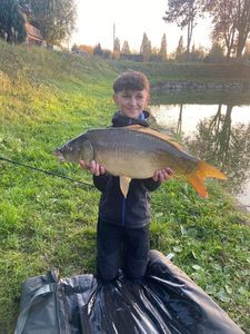Mirror Carp