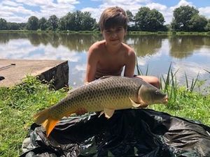 Common Carp