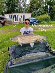 Grass Carp