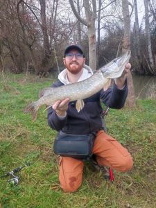 Northern Pike