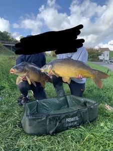Leather Carp