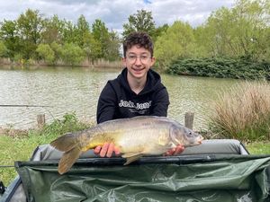 Mirror Carp