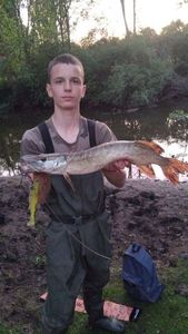 Northern Pike