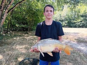 Mirror Carp