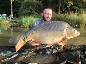Mirror Carp