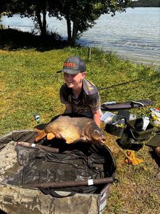 Mirror Carp