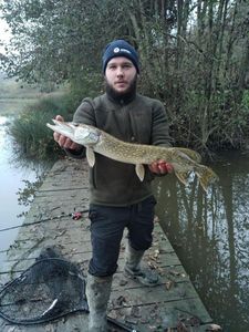 Northern Pike