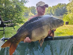 Mirror Carp