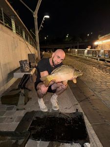 Mirror Carp