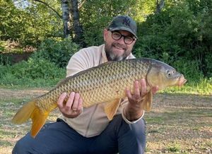 Common Carp