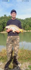 Mirror Carp