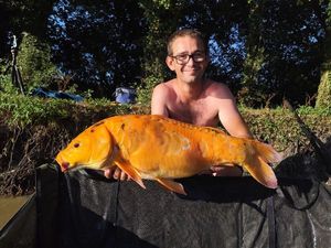 Koï Fish