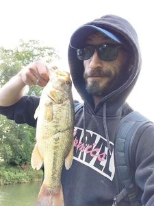 Largemouth Bass
