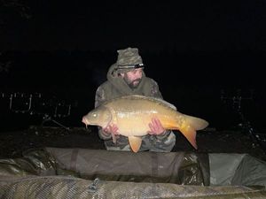 Mirror Carp