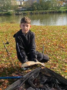 Common Carp