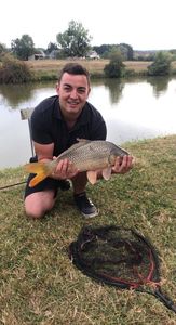 Common Carp