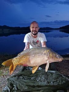 Mirror Carp