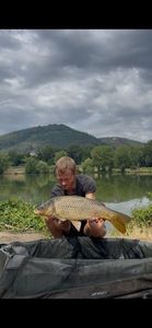 Common Carp