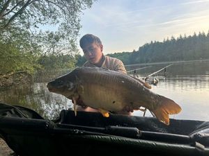 Mirror Carp