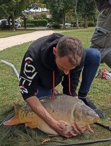 Mirror Carp