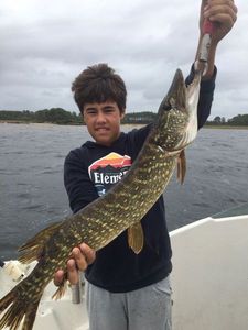Northern Pike