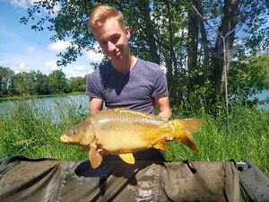 Mirror Carp