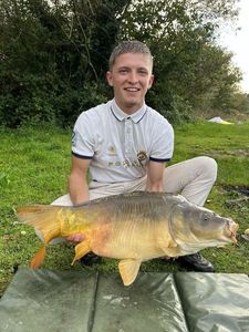 Mirror Carp