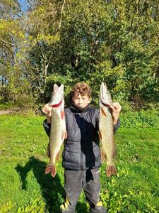 Northern Pike