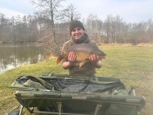 Mirror Carp