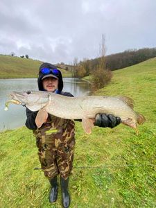 Northern Pike