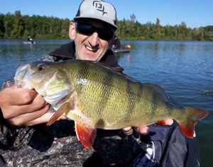 European Perch