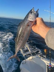 Angler's catch photo