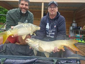 Mirror Carp