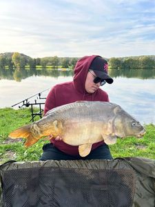 Mirror Carp