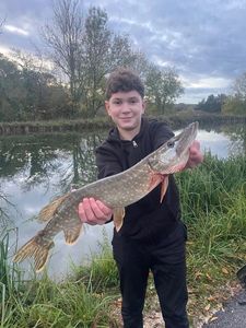 Northern Pike