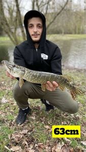 Northern Pike